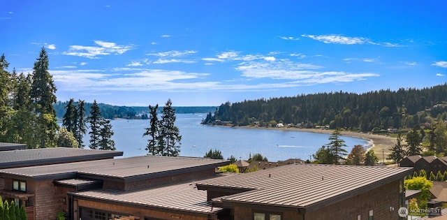 4869 Rosalind Rd NE, Bainbridge Island, WA 98110 - photo 14