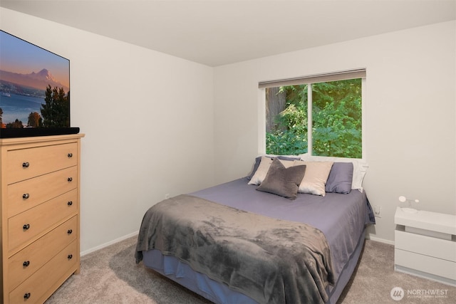 27109 NE Rupard Rd, Duvall, WA 98019 - photo 28