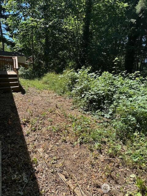 540 E Wood Ln, Shelton, WA 98584 - photo 4