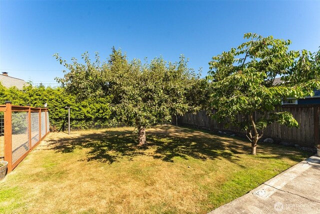 2803 Cottonwood Ave, Bellingham, WA 98225 - photo 31