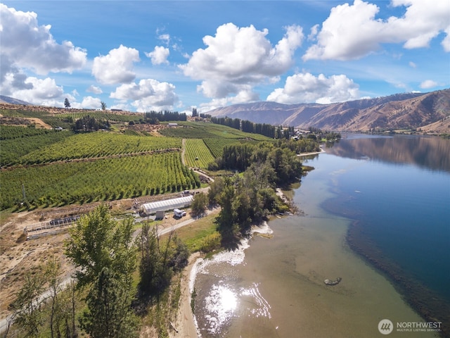 61 Silvest Rd, Orondo, WA 98843 - photo 4