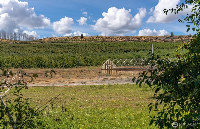 61 Silvest Rd, Orondo, WA 98843 - photo 11