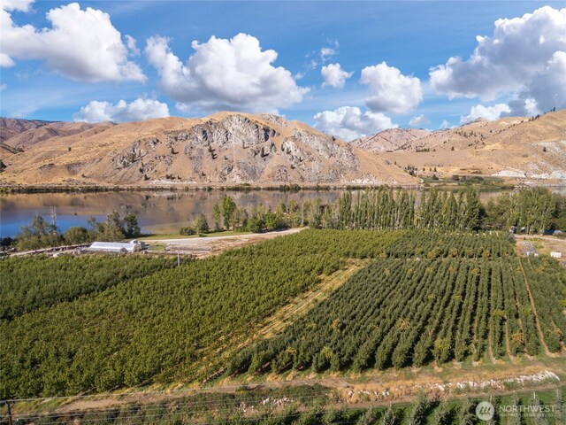 61 Silvest Rd, Orondo, WA 98843 - photo 15