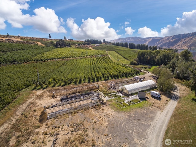 61 Silvest Rd, Orondo, WA 98843 - photo 19