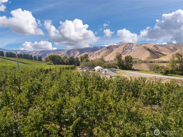 61 Silvest Rd, Orondo, WA 98843 - photo 23