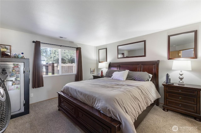 10718 Van Norhop St SE, Yelm, WA 98597 - photo 13
