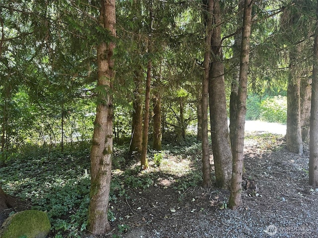 45263 Tillicum Trl Unit 3B71, Concrete, WA 98237 - photo 13