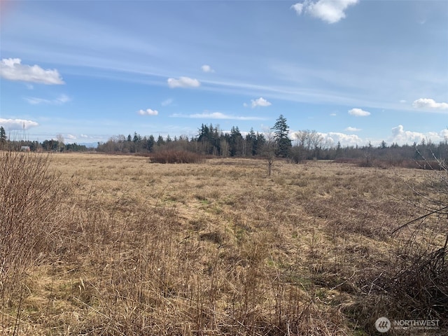 9924 Markworth Rd, Lynden, WA 98264 - photo 1