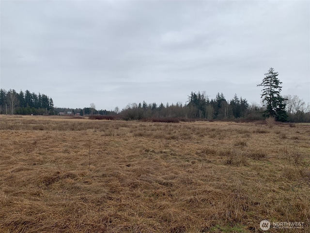 9924 Markworth Rd, Lynden, WA 98264 - photo 2