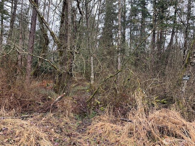 9924 Markworth Rd, Lynden, WA 98264 - photo 6
