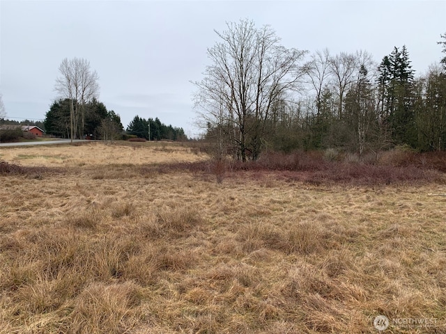 9924 Markworth Rd, Lynden, WA 98264 - photo 7