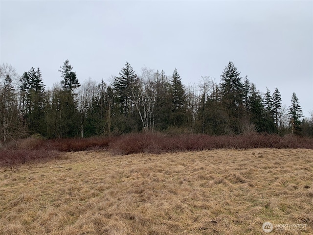 9924 Markworth Rd, Lynden, WA 98264 - photo 8