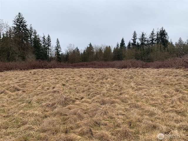 9924 Markworth Rd, Lynden, WA 98264 - photo 9