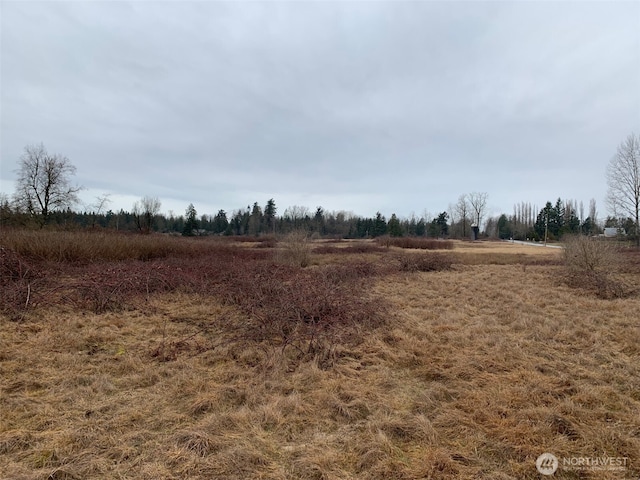 9924 Markworth Rd, Lynden, WA 98264 - photo 10