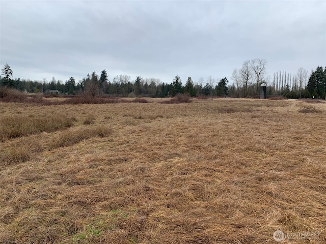 9924 Markworth Rd, Lynden, WA 98264 - photo 11