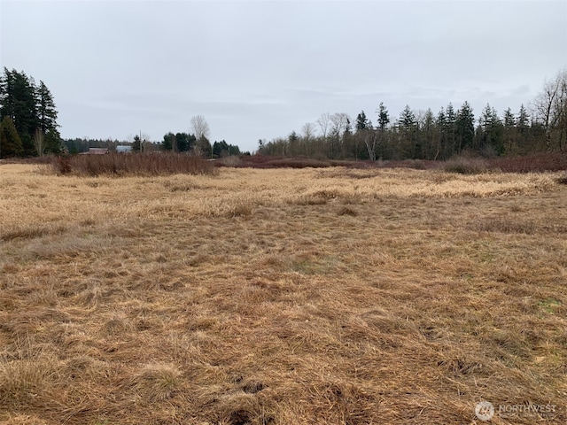 9924 Markworth Rd, Lynden, WA 98264 - photo 12