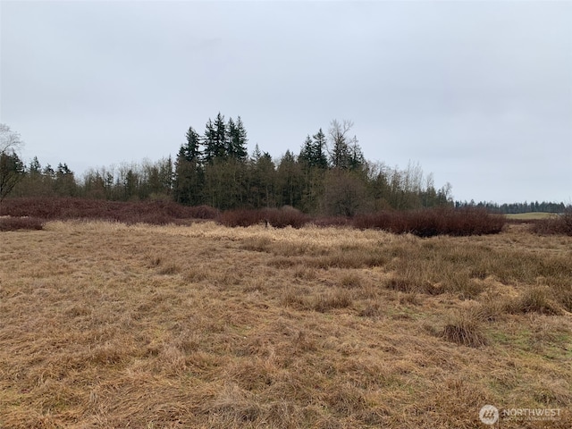 9924 Markworth Rd, Lynden, WA 98264 - photo 13