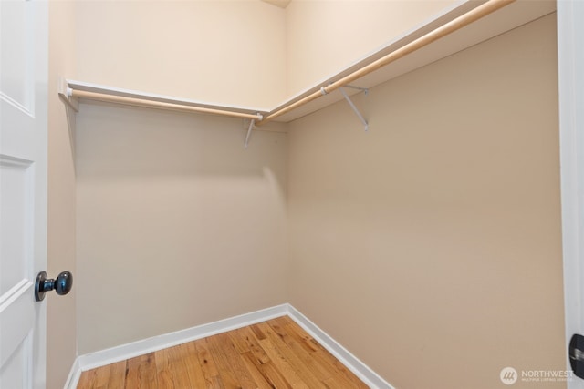 7119 Country Village Dr SW, Olympia, WA 98512 - photo 16