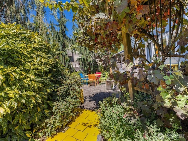 20706 29th Pl W, Lynnwood, WA 98036 - photo 8