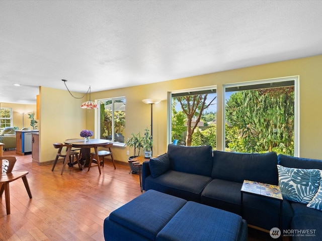20706 29th Pl W, Lynnwood, WA 98036 - photo 14