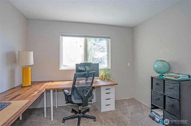 7715 24th St W, University Place, WA 98466 - photo 21