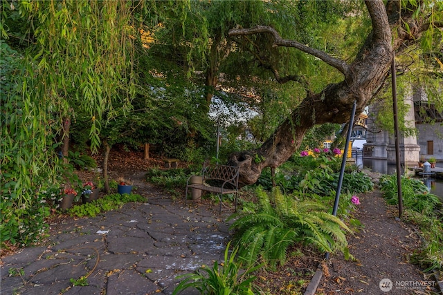 3258 Portage Bay Pl E, Seattle, WA 98102 - photo 21
