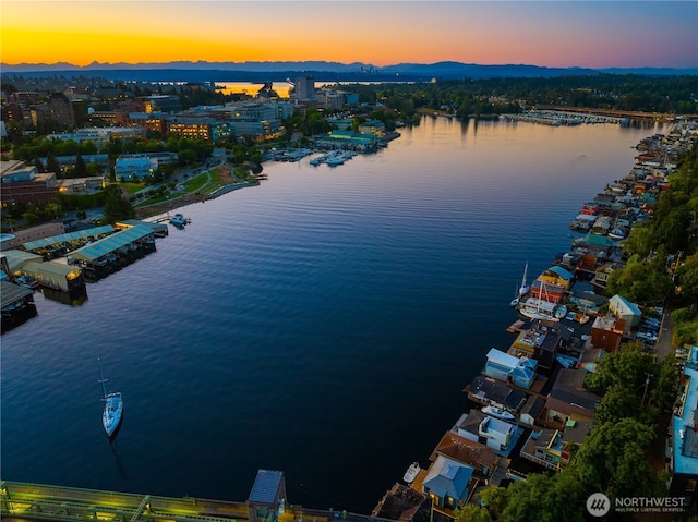 3258 Portage Bay Pl E, Seattle, WA 98102 - photo 27