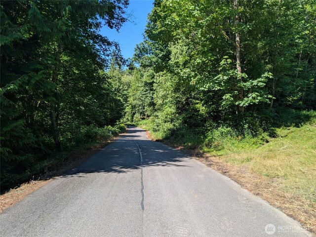 4476 Stoney Brook Ln, Bellingham, WA 98229 - photo 4