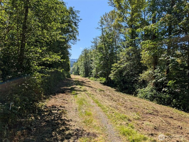 4476 Stoney Brook Ln, Bellingham, WA 98229 - photo 12