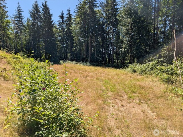 4476 Stoney Brook Ln, Bellingham, WA 98229 - photo 13