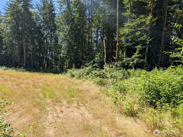 4476 Stoney Brook Ln, Bellingham, WA 98229 - photo 15