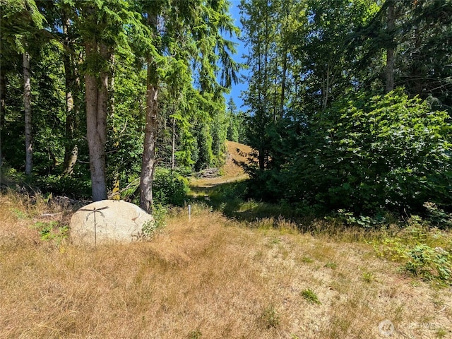 0 Stoney Brook Ln, Bellingham, WA 98229 - photo 4