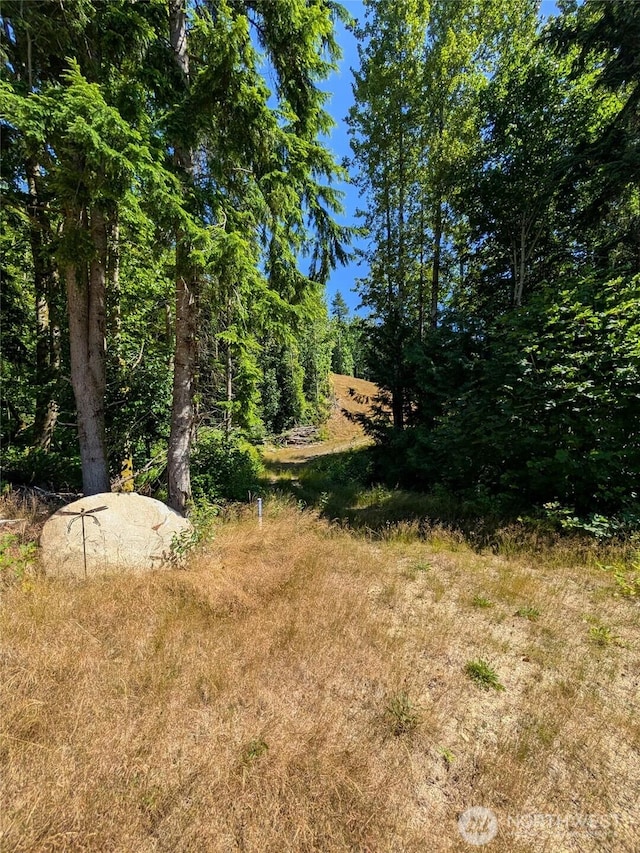 0 Stoney Brook Ln, Bellingham, WA 98229 - photo 5