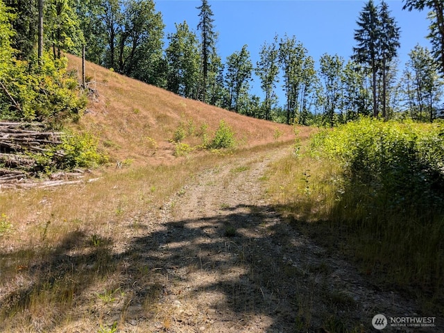 0 Stoney Brook Ln, Bellingham, WA 98229 - photo 6