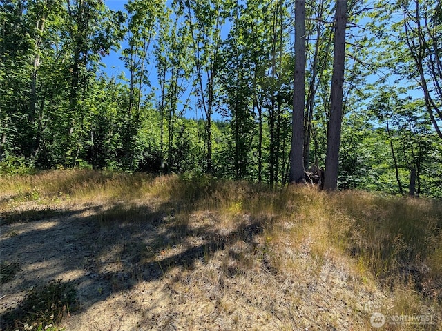0 Stoney Brook Ln, Bellingham, WA 98229 - photo 11