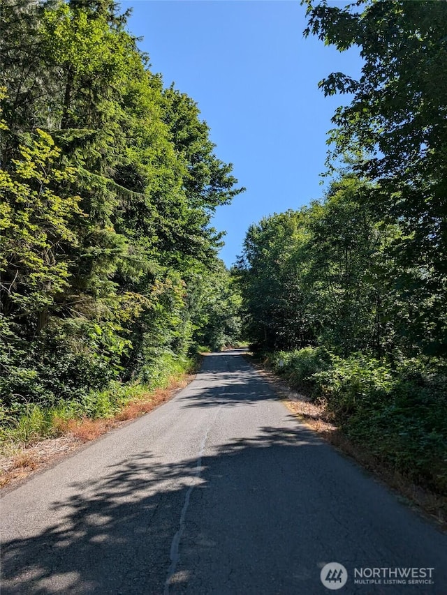 0 Stoney Brook Ln, Bellingham, WA 98229 - photo 16