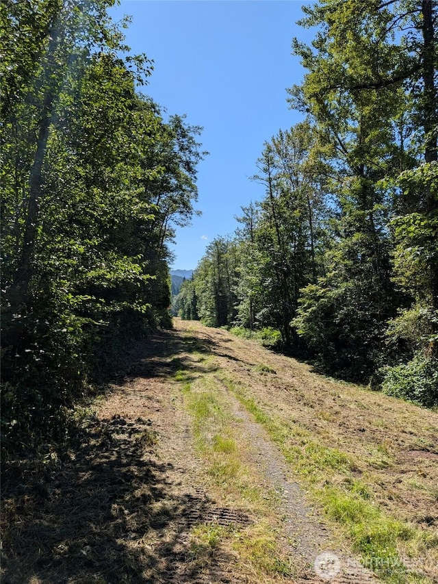 0 Stoney Brook Ln, Bellingham, WA 98229 - photo 17