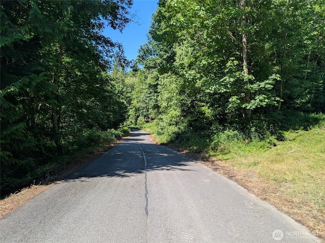 0 Stoney Brook Ln, Bellingham, WA 98229 - photo 21