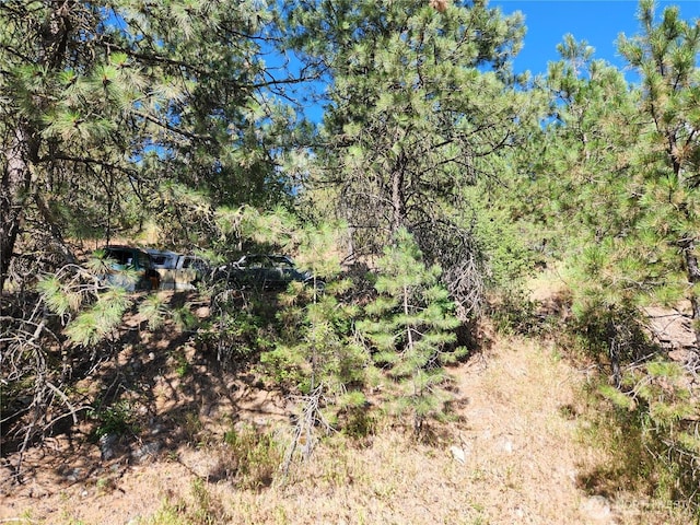 0LOT1 Klondike Rd, Republic, WA 99166 - photo 2