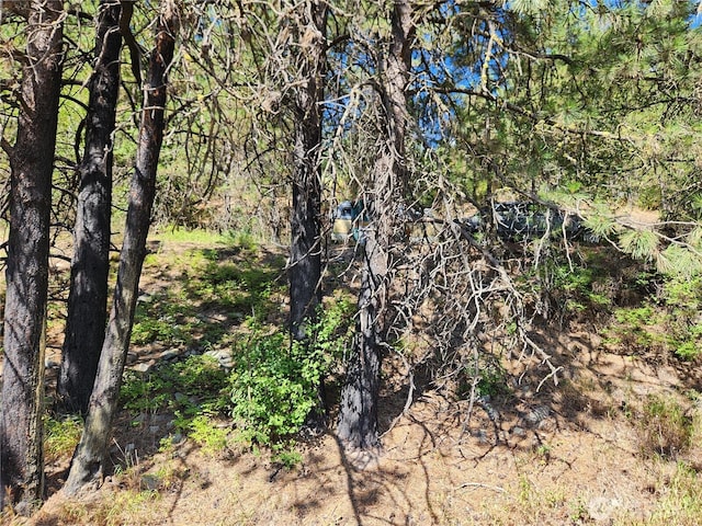 0LOT1 Klondike Rd, Republic, WA 99166 - photo 8