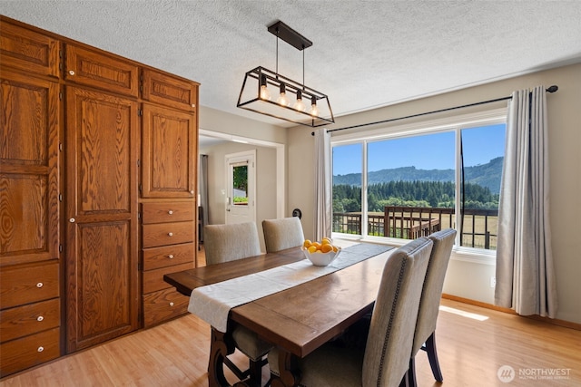 8054 Lewis River Rd, Ariel, WA 98603 - photo 9