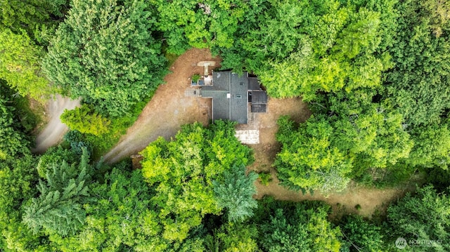 390 NE Rendsland Creek Rd, Tahuya, WA 98588 - photo 4