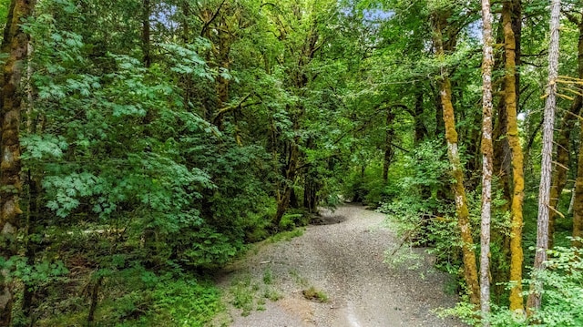 390 NE Rendsland Creek Rd, Tahuya, WA 98588 - photo 22