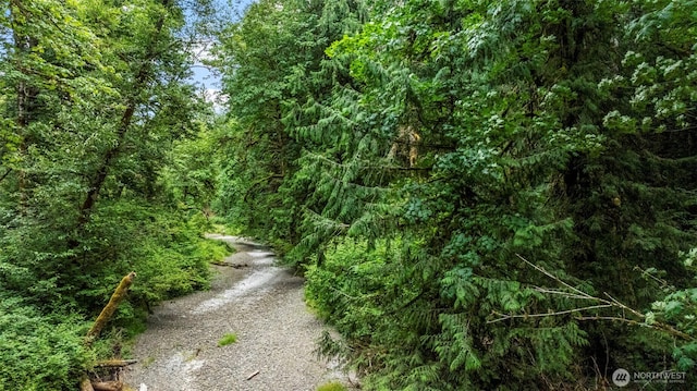 390 NE Rendsland Creek Rd, Tahuya, WA 98588 - photo 23