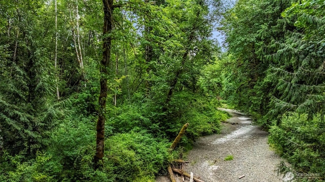 390 NE Rendsland Creek Rd, Tahuya, WA 98588 - photo 24