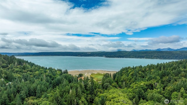 390 NE Rendsland Creek Rd, Tahuya, WA 98588 - photo 31