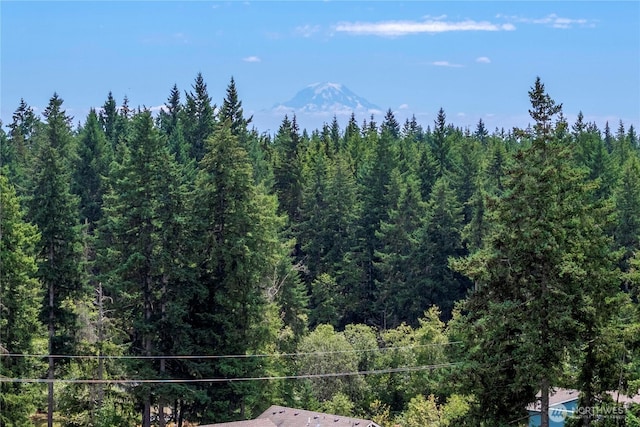 4182 SW Colbert Way, Port Orchard, WA 98367 - photo 19