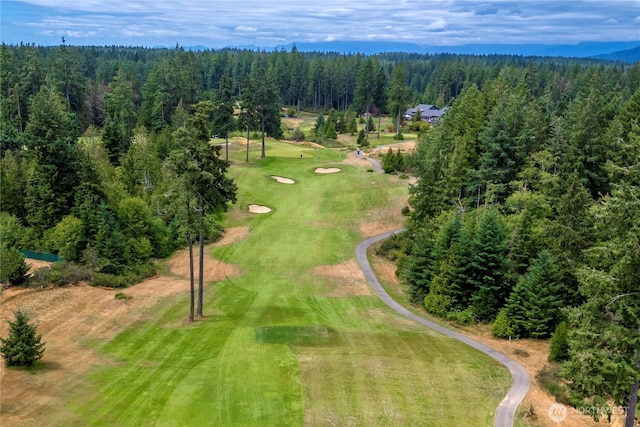 4182 SW Colbert Way, Port Orchard, WA 98367 - photo 38