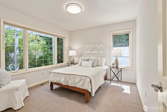 2428 258th St NE, Arlington, WA 98223 - photo 24