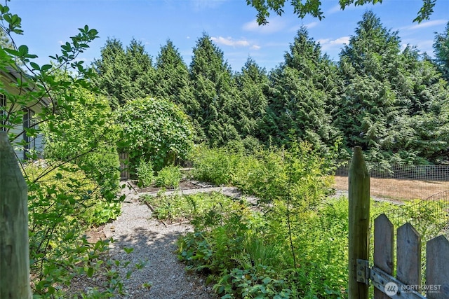 2428 258th St NE, Arlington, WA 98223 - photo 33